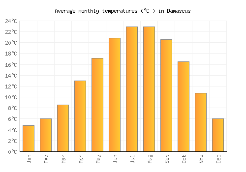 Damascus average temperature chart (Celsius)