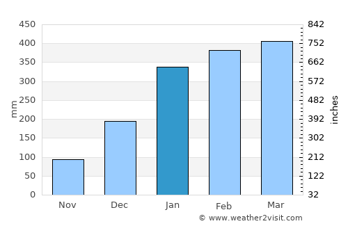 Abaetetuba average rain in January