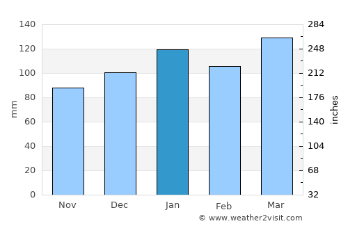 Abbeville average rain in January