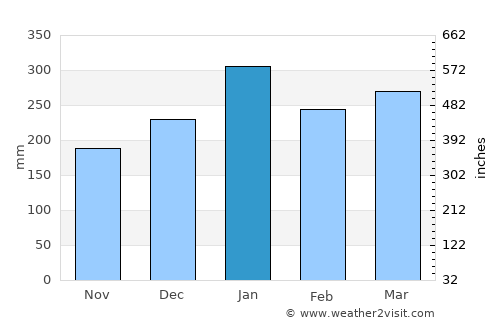 Abepura average rain in January
