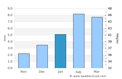 Ahmadpur East average rain in January