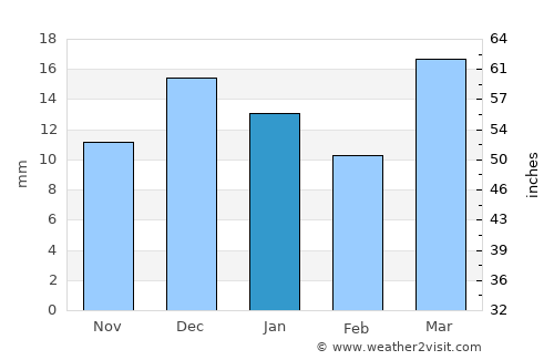 Al Metlaoui average rain in January