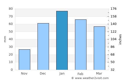 Al Qaşr average rain in January
