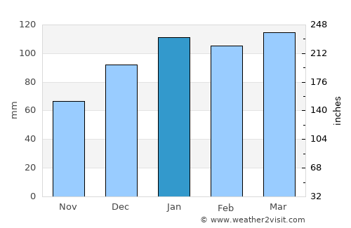 Alamo average rain in January
