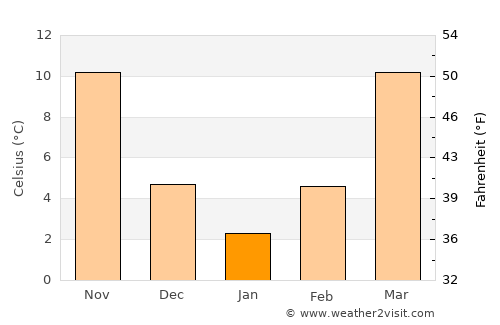 Alamo average temperature in January