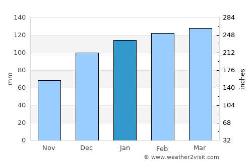 Albany average rain in January