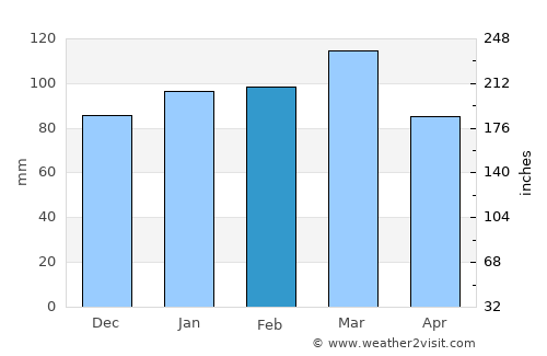Albemarle average rain in February