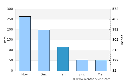Alcantara average rain in January