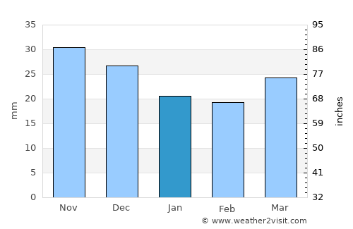 Aleksandrovskoye average rain in January
