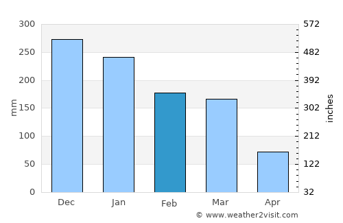 Além Paraíba average rain in February