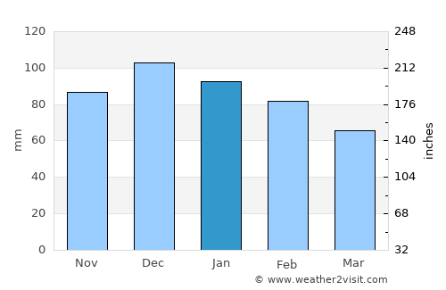 Algiers average rain in January