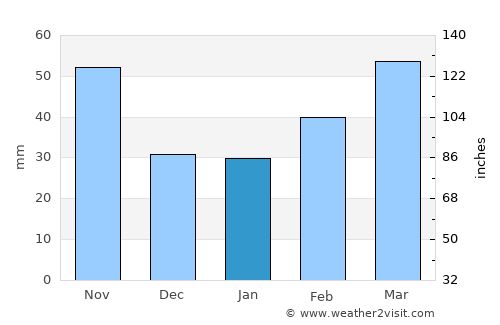Əliabad average rain in January