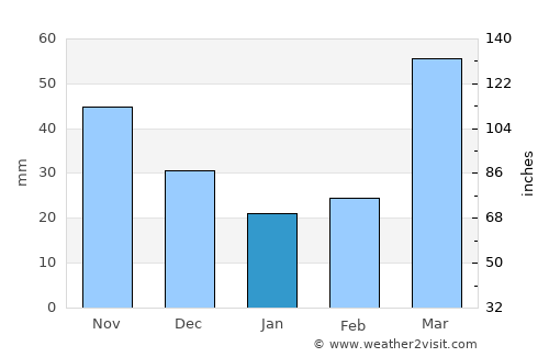 Allison average rain in January