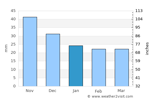 Altayskoye average rain in January