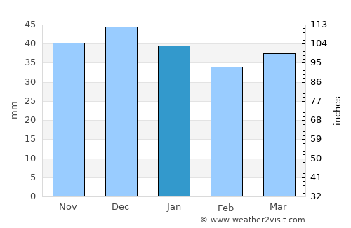 Altenburg average rain in January