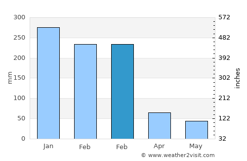 Altinópolis average rain in February