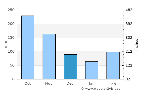 Alvarado average rain in December
