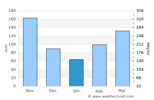 Alvarado average rain in January