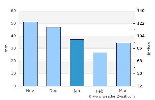 Alytus average rain in January