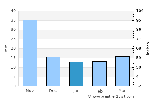 Amatenango del Valle average rain in January