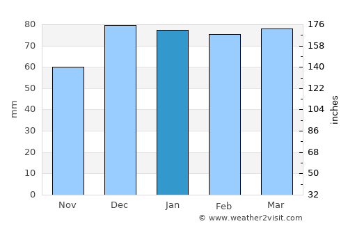 Ambar average rain in January