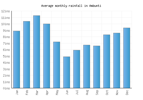 Ambunti monthly rainfall chart (inches)