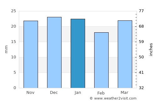 American Falls average rain in January