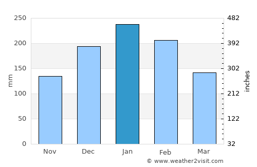 Americana average rain in January