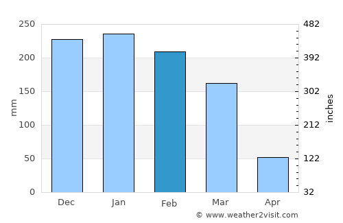 Américo Brasiliense average rain in February