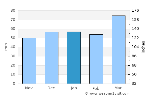Amir Timur average rain in January
