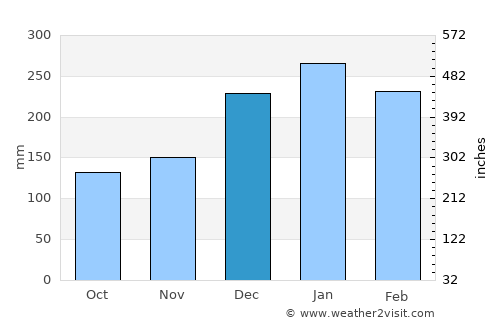 Amparo average rain in December