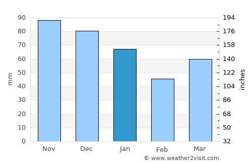 Amsterdam average rain in January