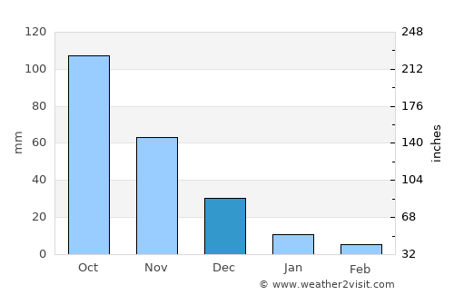 Anaco average rain in December