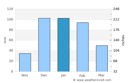 Anakao average rain in January