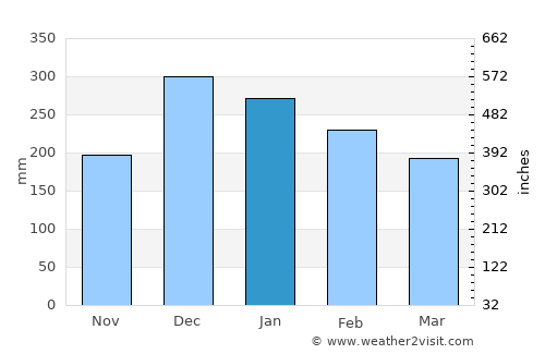 Andrelândia average rain in January