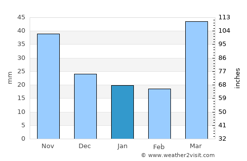 Anoka average rain in January