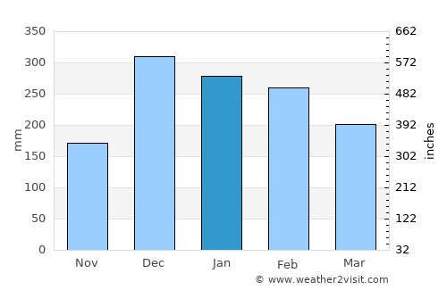 Antananarivo average rain in January