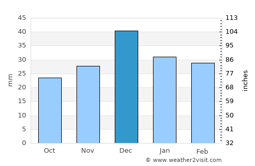 Apache Junction average rain in December