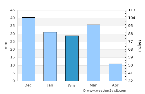 Apache Junction average rain in February