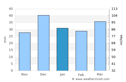 Apache Junction average rain in January