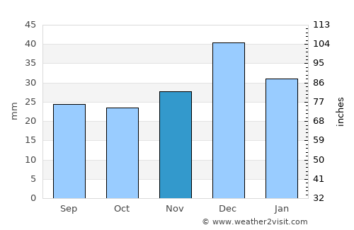 Apache Junction average rain in November