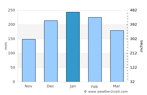 Aparecida average rain in January