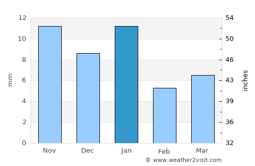 Apaseo el Grande average rain in January