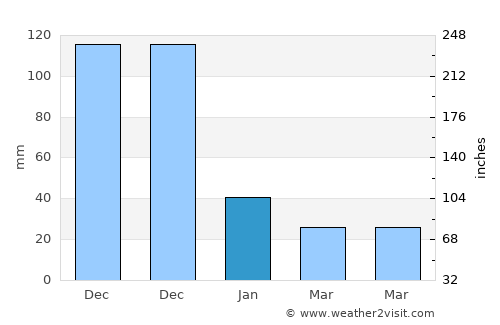 Aplaya average rain in January