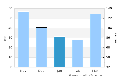Appleton average rain in January