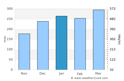 Araguaína average rain in January