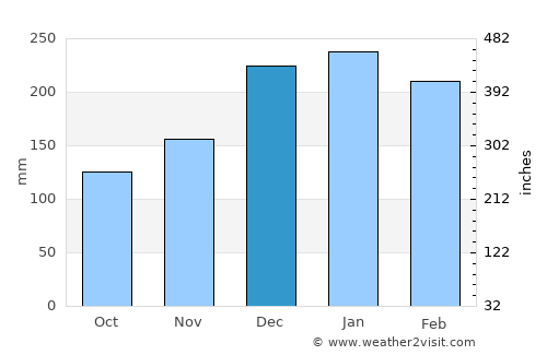 Araraquara average rain in December