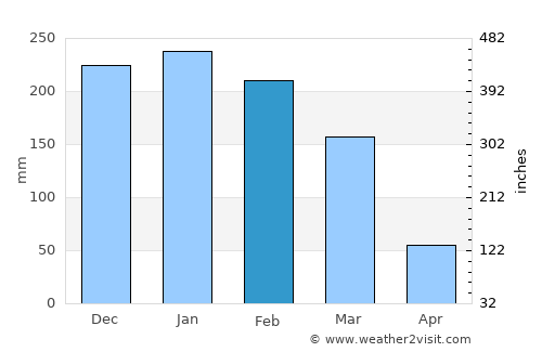 Araraquara average rain in February