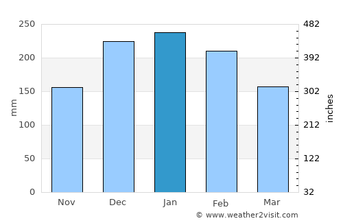 Araraquara average rain in January