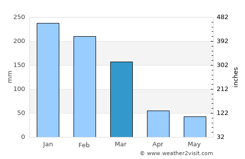 Araraquara average rain in March
